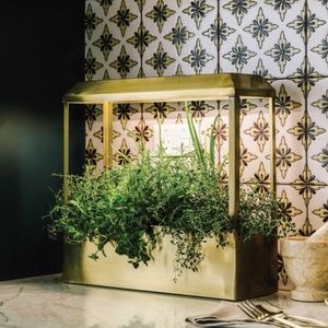 Modern Sprout Smart Growhouse Grow Light Brass, Includes Planters, Like New!